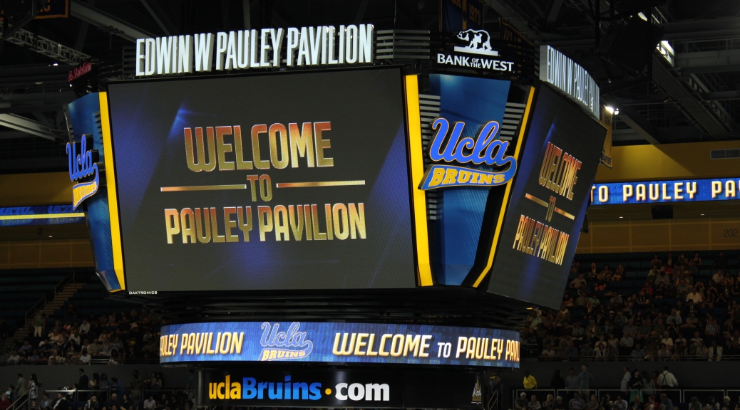 Welcome to Pauley