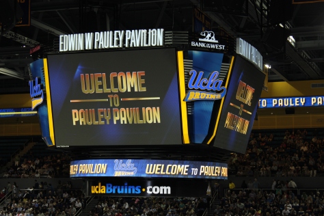 Welcome to Pauley